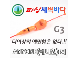 애니원(ANYONE) 찌 G3